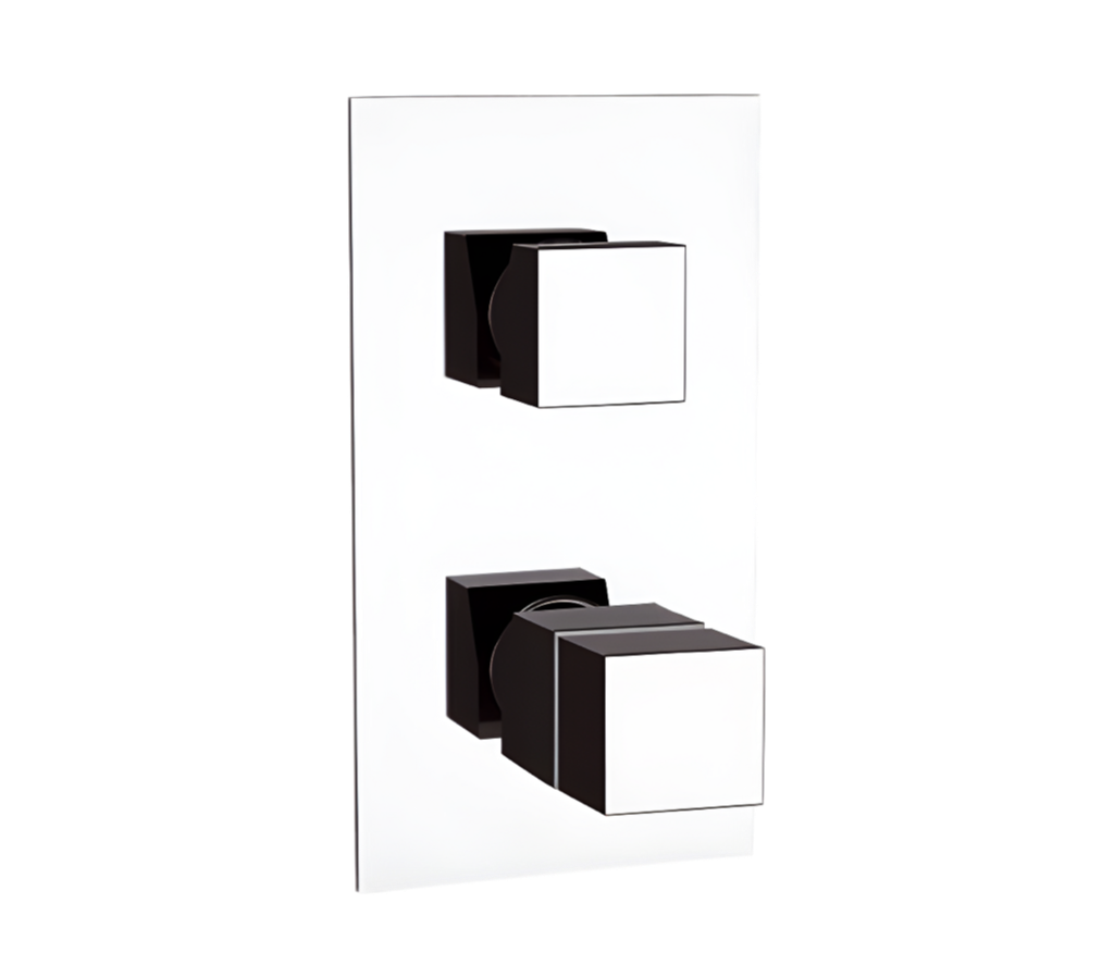 Смеситель термостатический для душа Remer Q-Elegance QT937