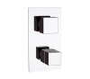 Смеситель термостатический для душа Remer Q-Elegance QT937