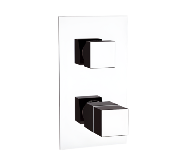 Смеситель термостатический для душа Remer Q-Elegance QT937