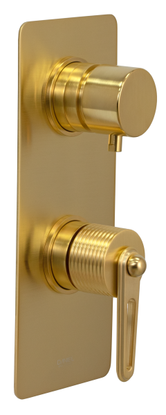 Смеситель для душа Daniel Brooklyn BY612D2KBDP, золото брашированное