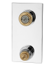 Смеситель термостатический для душа Remer Q-Elegance QT94