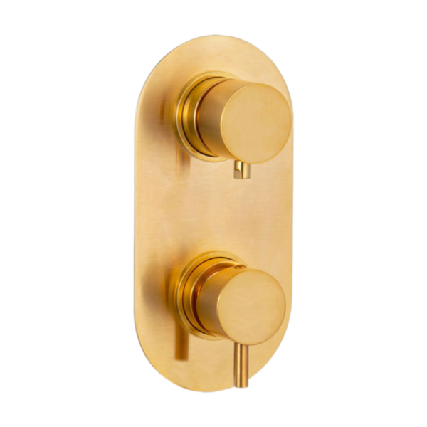 Смеситель для душа Daniel Tokyo TK612D2KBDP, золото брашированное