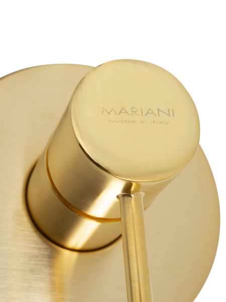 Смеситель для душа Mariani Next B22179NS, золото брашированное