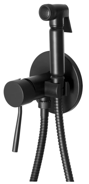 Гигиенический душ со смесителем Remer Minimal N65NO, черный матовый