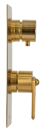 Смеситель для душа Daniel Brooklyn BY612D2KBDP, золото брашированное