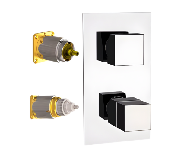 Смеситель термостатический для душа Remer Q-Elegance QT93KB