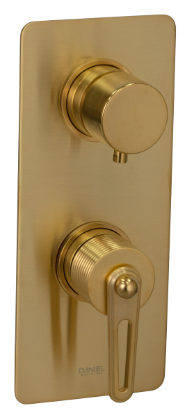 Смеситель для душа Daniel Brooklyn BY612D2KBDP, золото брашированное